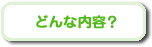 �ǂ�ȓ��e�H